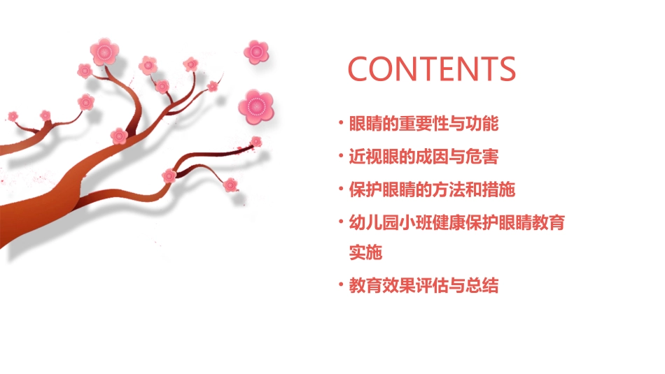 小班健康保护眼睛教案_第2页