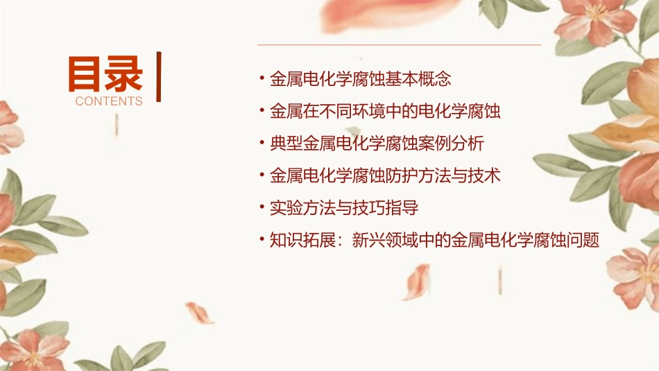 《金属的电化学腐蚀》课件_第2页