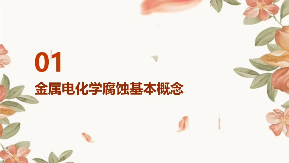 《金属的电化学腐蚀》课件_第3页