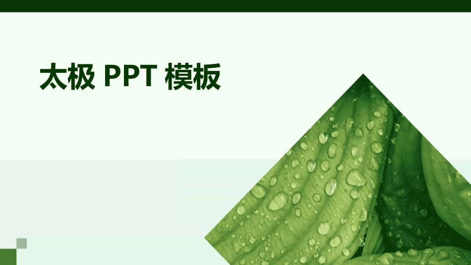 太极PPT模板_第1页