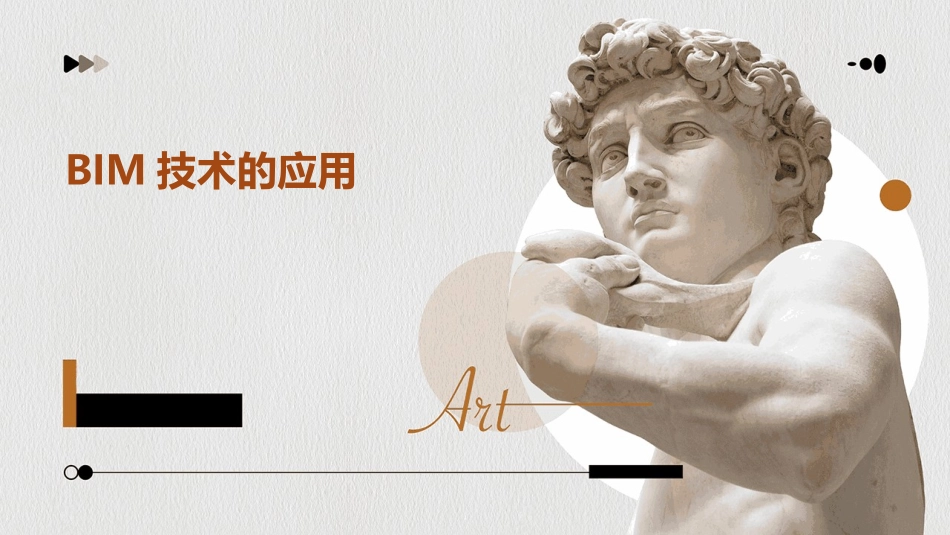 BIM技术的应用_第1页