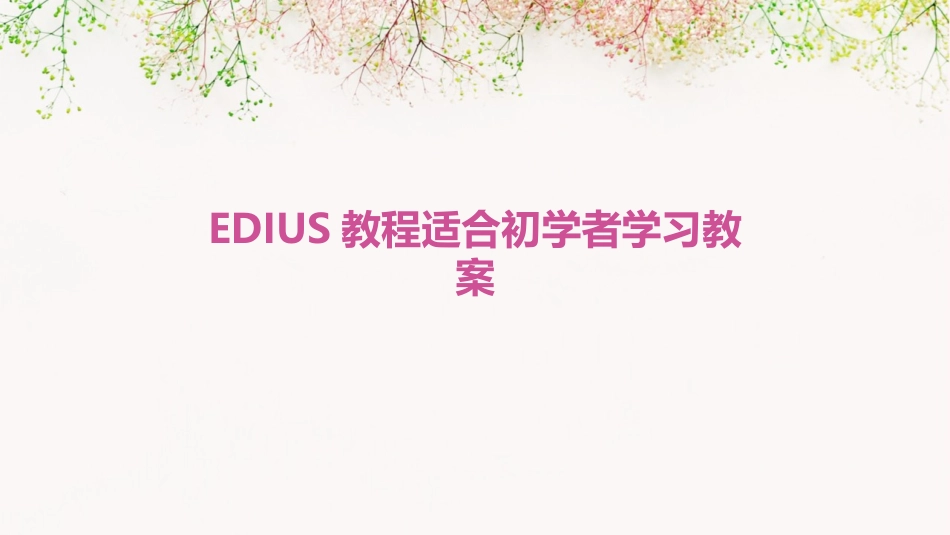 EDIUS教程适合初学者学习教案_第1页