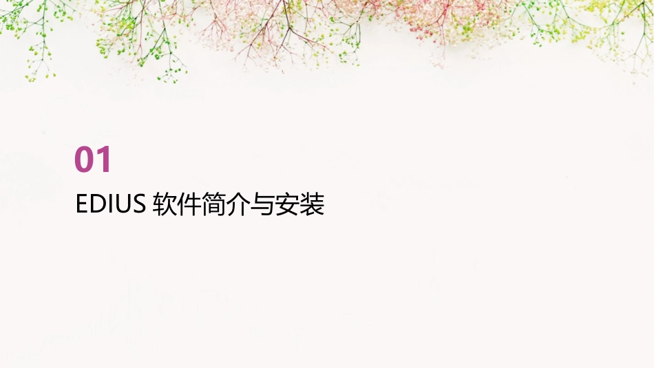 EDIUS教程适合初学者学习教案_第3页