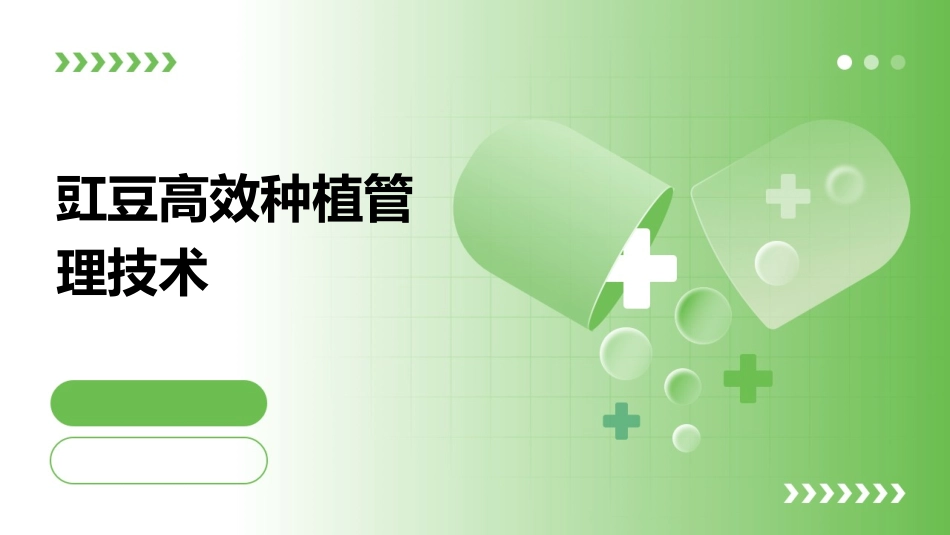 豇豆高效种植管理技术_第1页