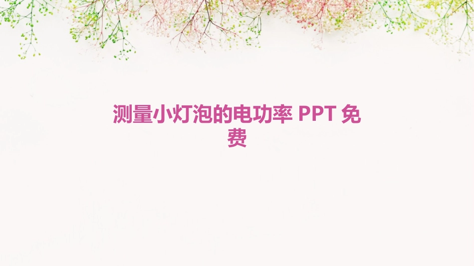 测量小灯泡的电功率PPT免费_第1页