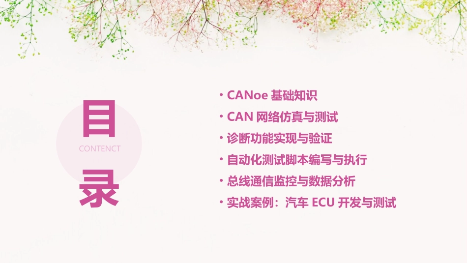 CANoe培训教材_第2页