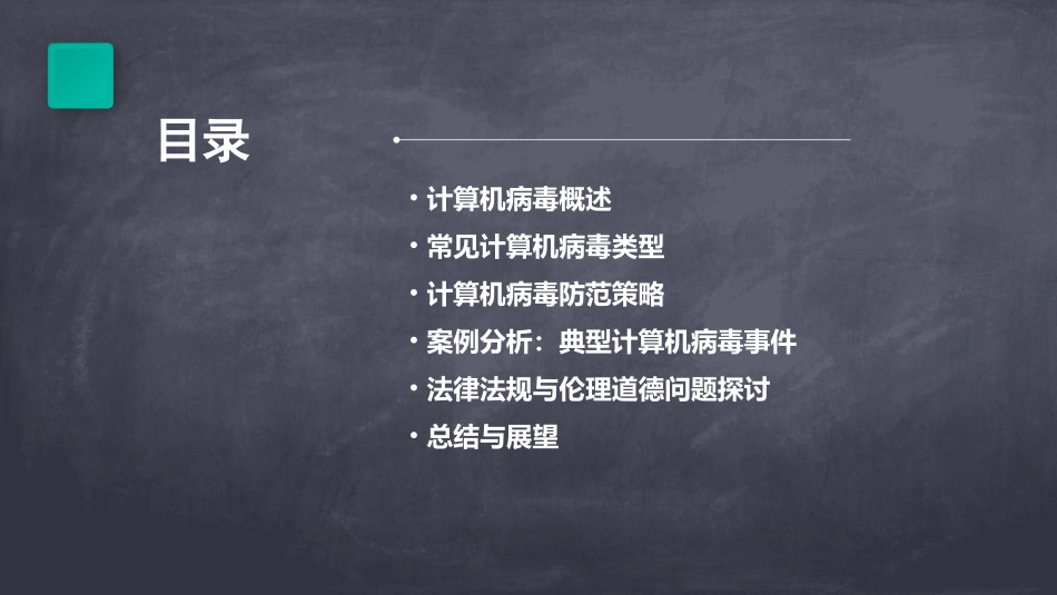 小学信息技术川少五年级下册第十四课计算机病毒_第2页