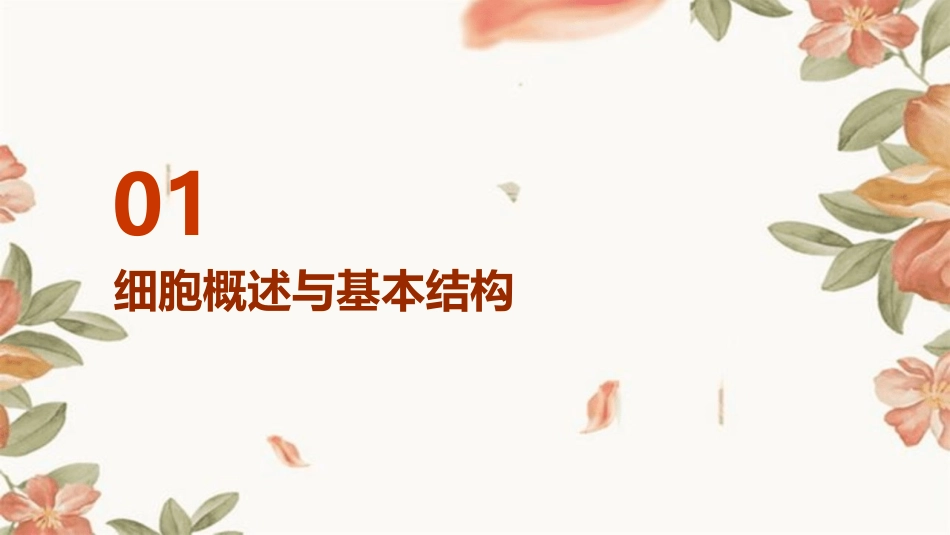 细胞生理学ppt课件_第3页
