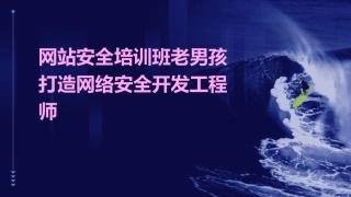 网站安全培训班老男孩打造网络安全开发工程师