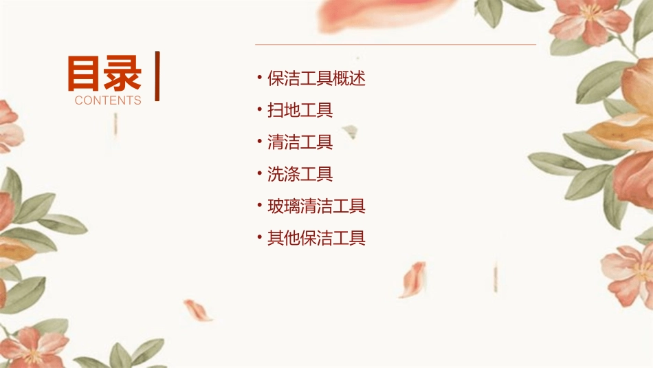 常用保洁工具ppt教案_第2页