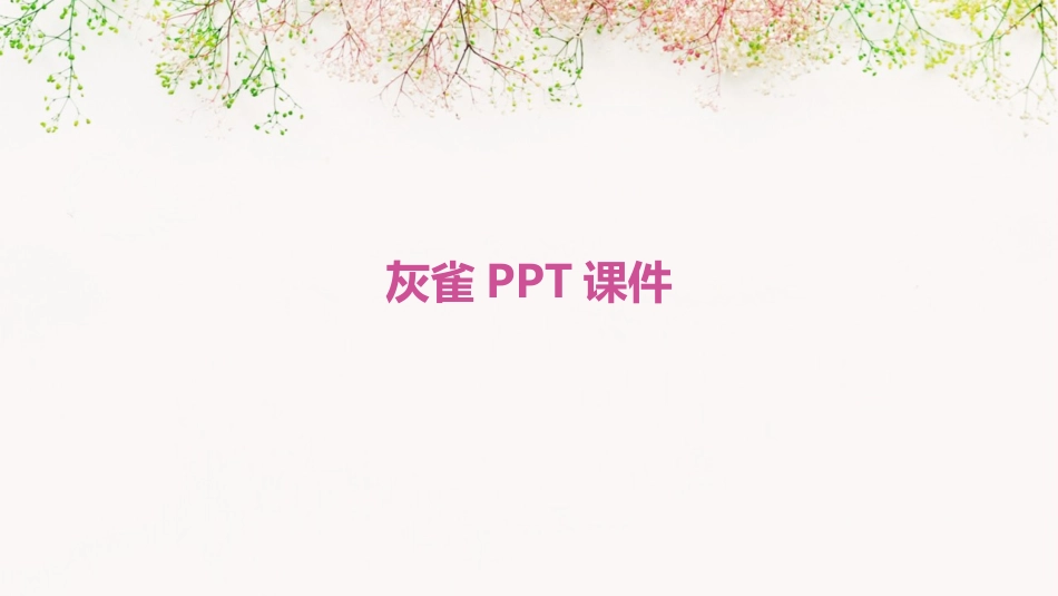 灰雀PPT课件_第1页