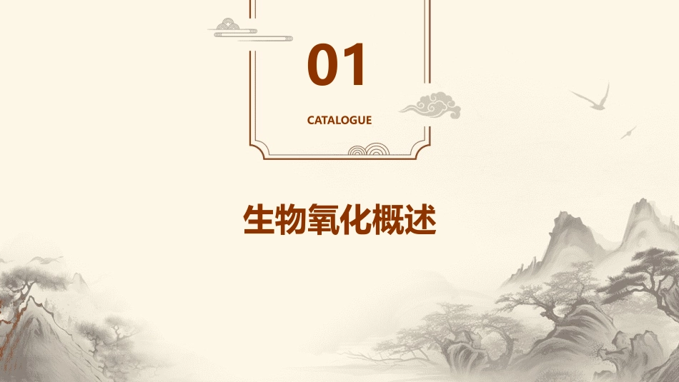 生化课件6生物氧化pptx_第3页