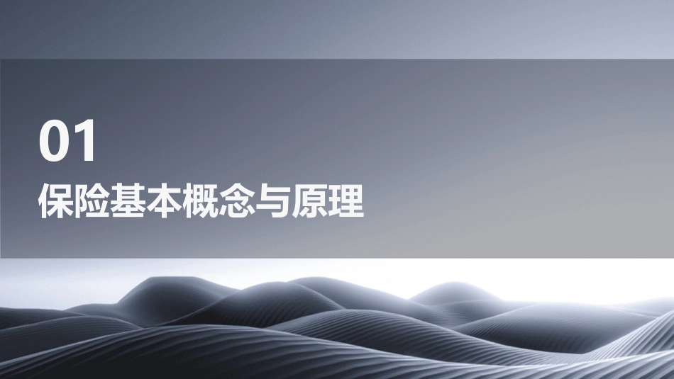 保险的重要性综述课件pptx_第3页