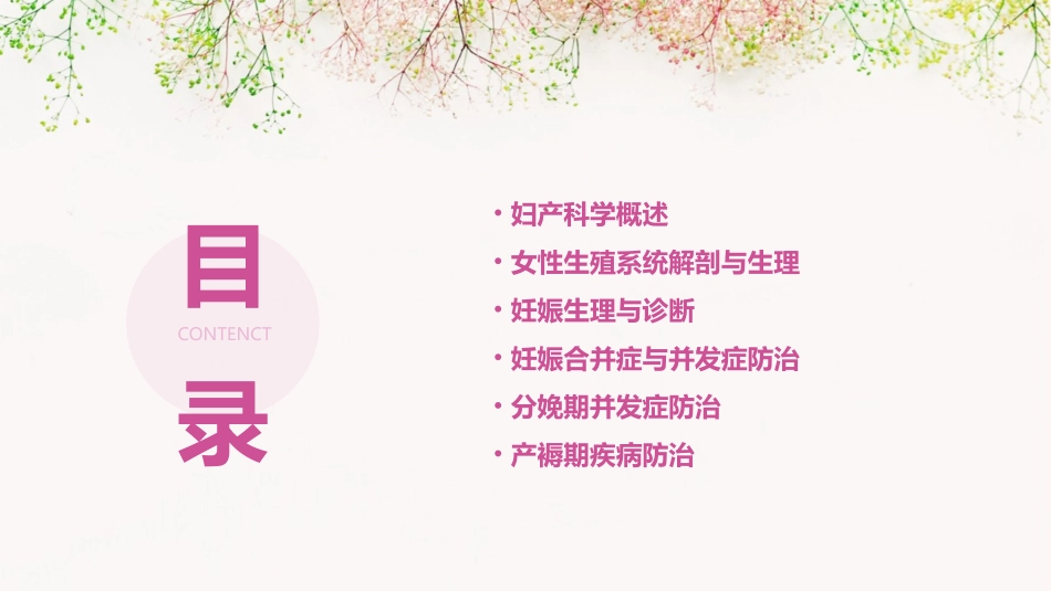 妇产科学ppt课件_第2页