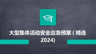 大型集体活动安全应急预案(精选2024)