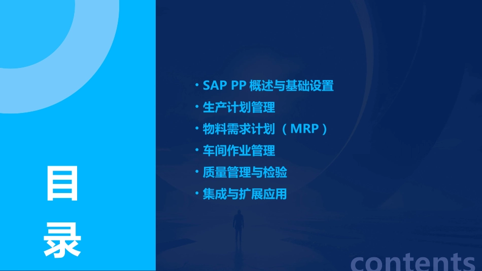 SAP PP后台配置与业务操作指南1_第2页