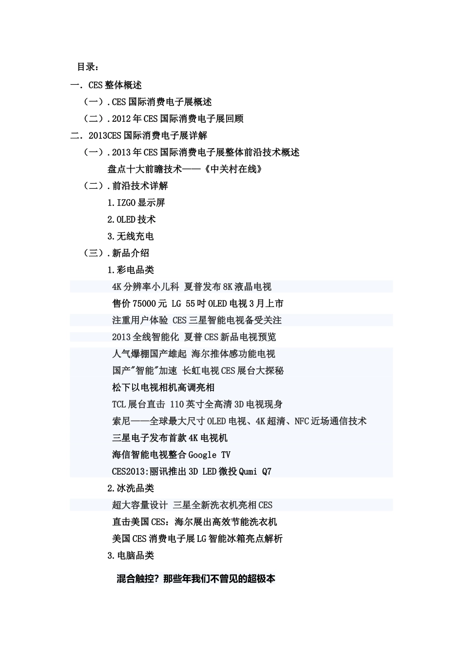 CES国际消费电子展方案_第1页