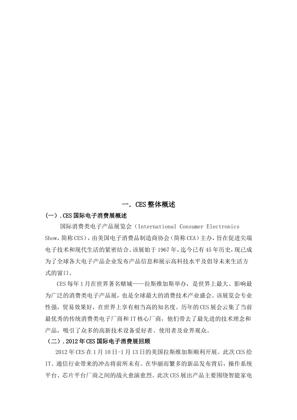 CES国际消费电子展方案_第3页
