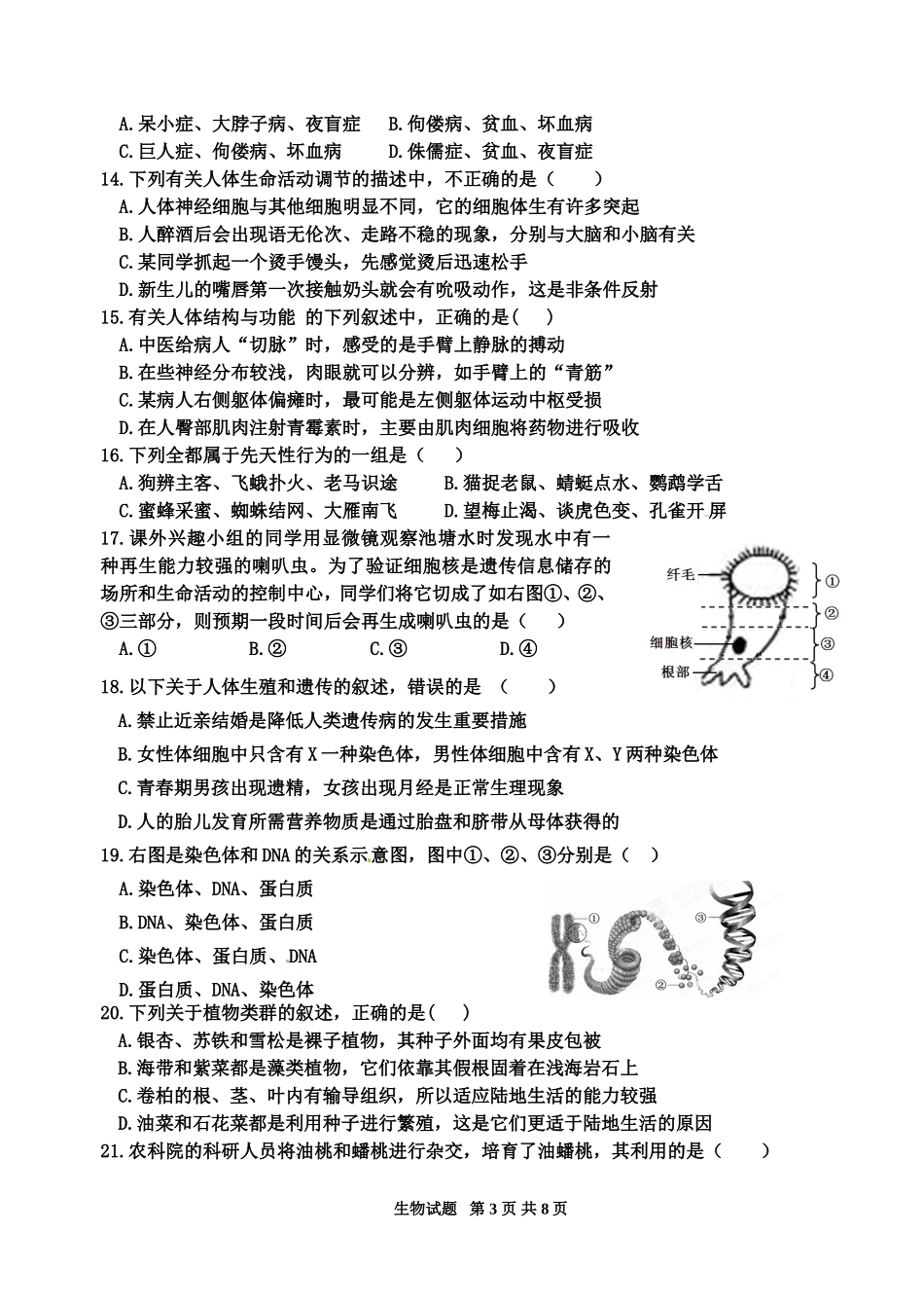初中学业水平考试生物试题_第3页