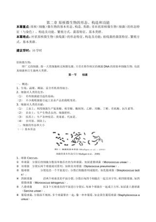 第二章原核微生物的形态、构造和功能测试练习题