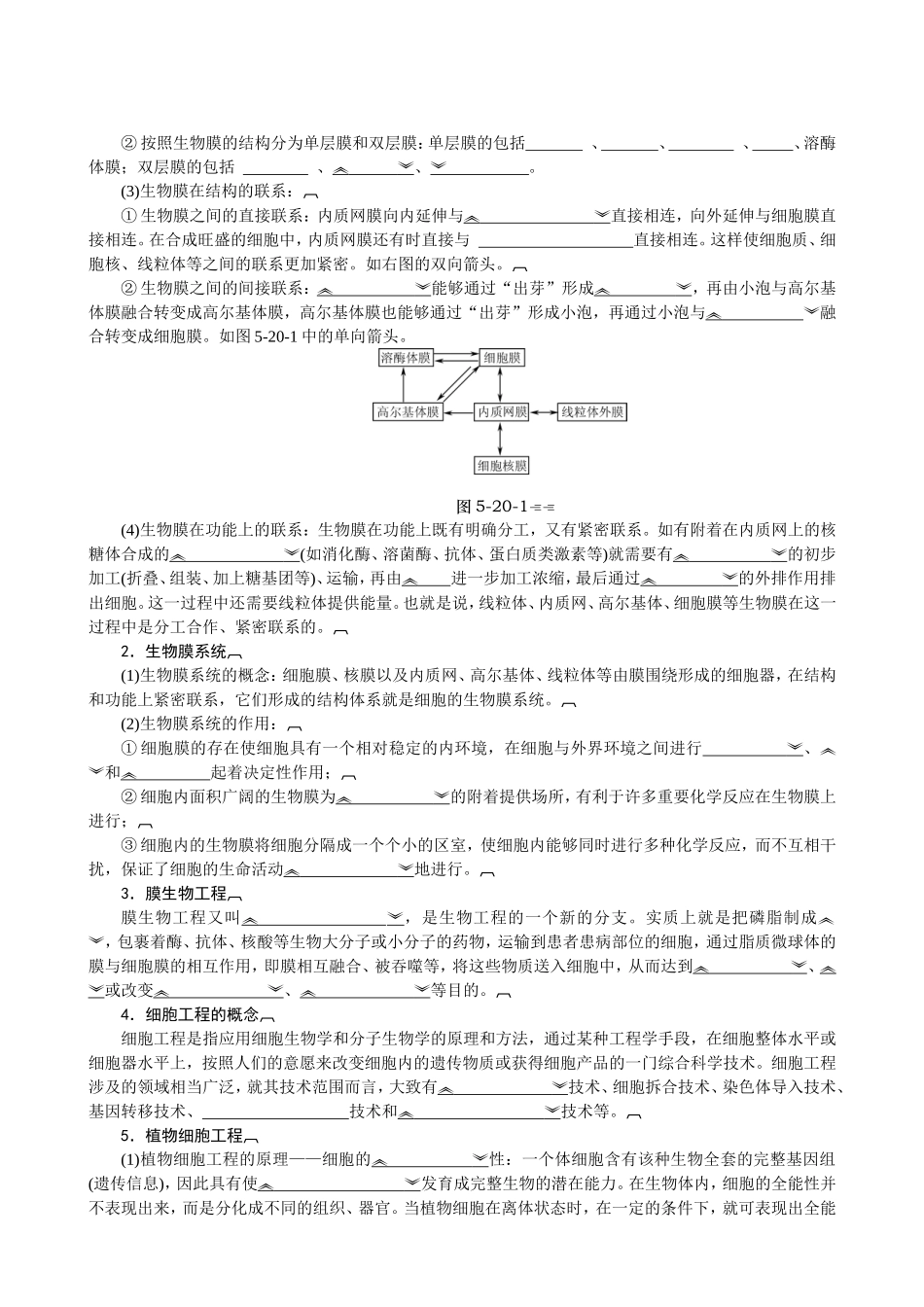 第五讲生物工程知识点梳理汇总_第3页