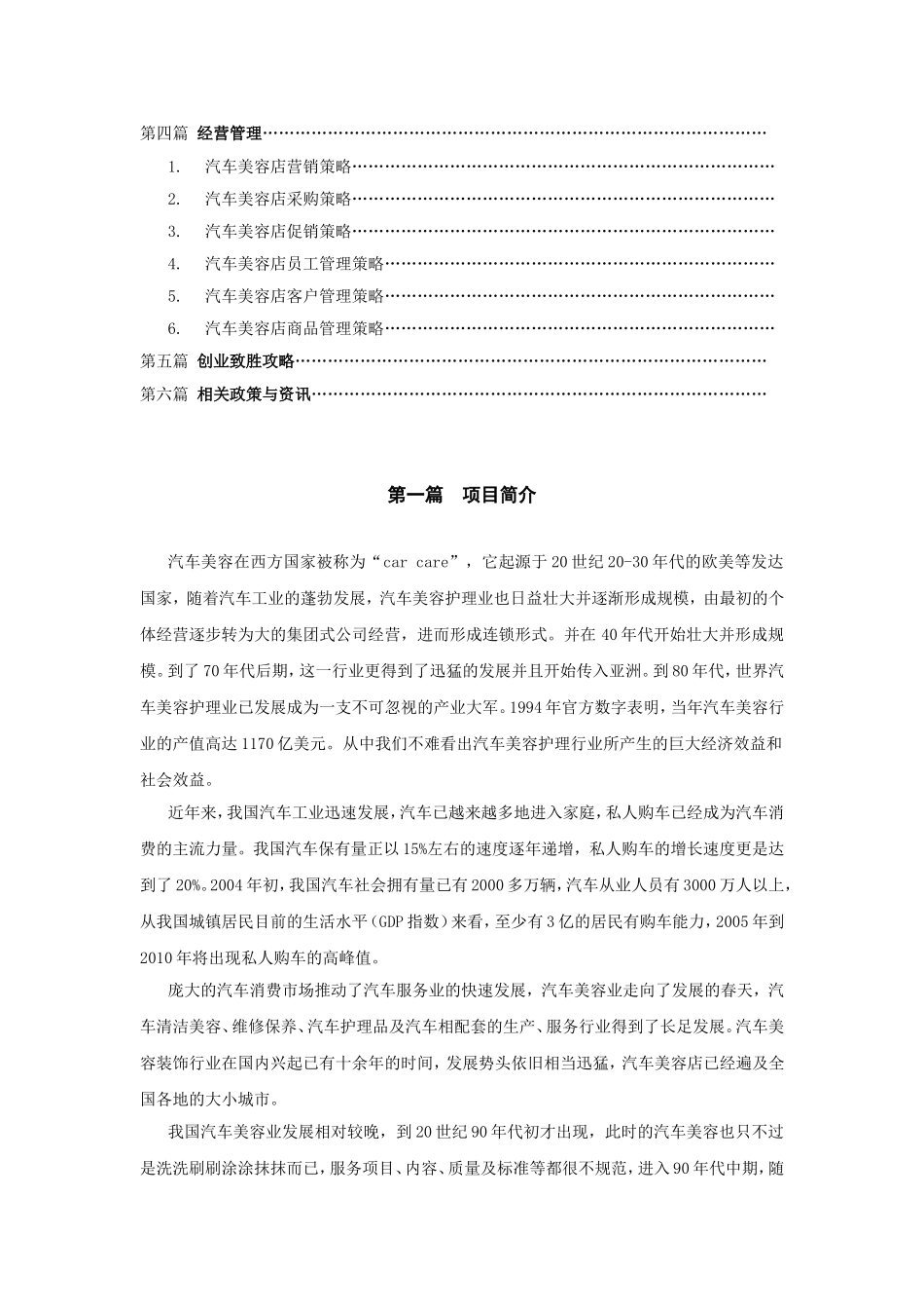 汽车美容分析研究_第2页