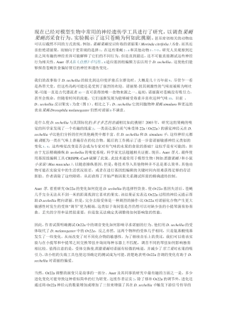 调查果蝇果蝇的采食行为实验
