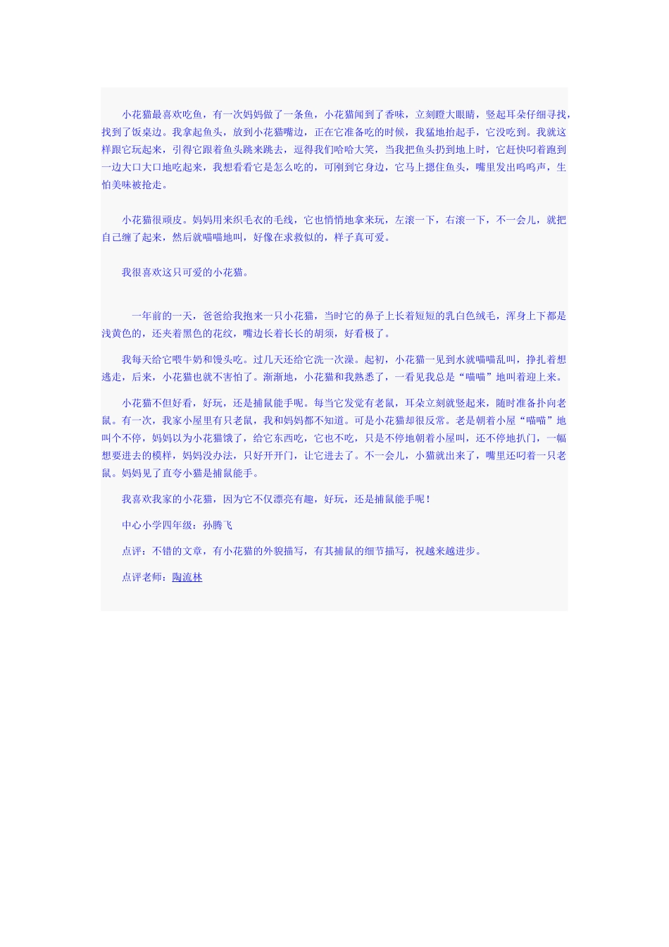 我的小花猫 小学作文专题练习_第3页