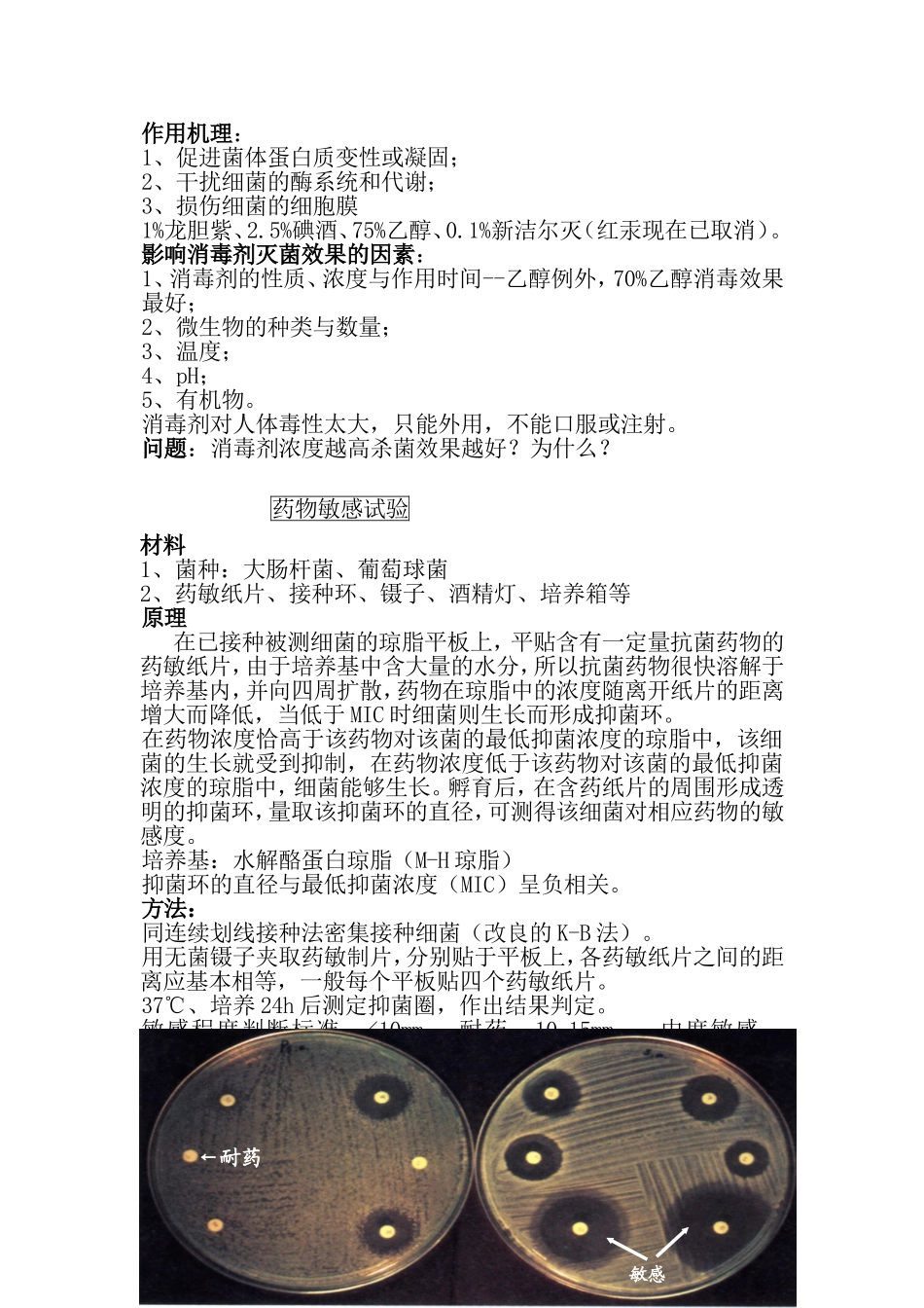 实验三物理因素、化学因素对细菌的影响和药物敏感试验报告_第2页