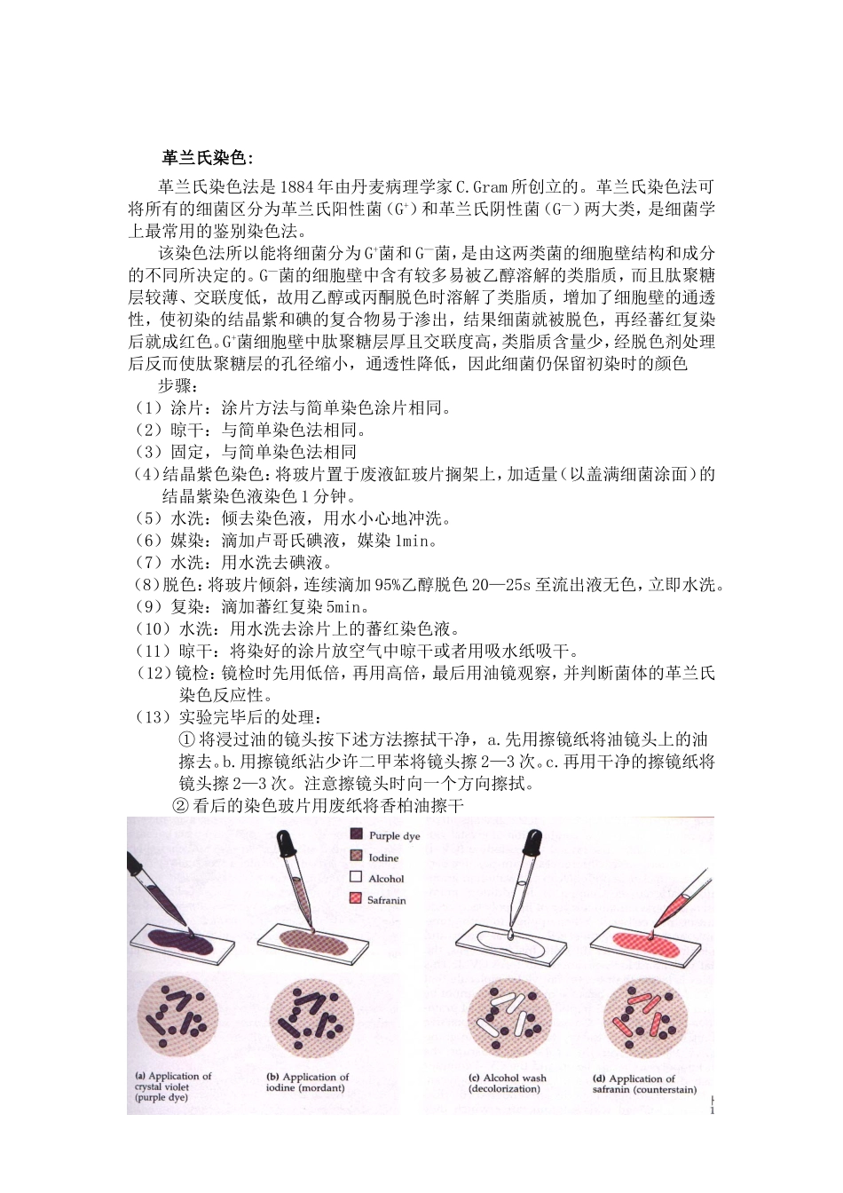微生物常规鉴定技术知识点梳理汇总_第3页