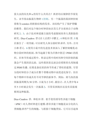 萤火虫的闪光和a的有什么共同点