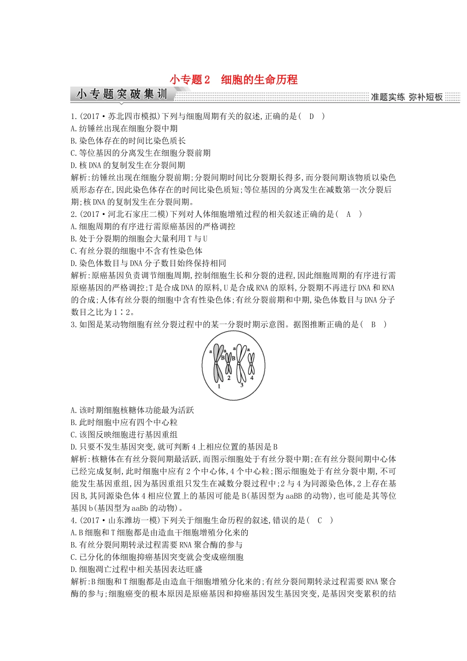 小专题2　细胞的生命历程 专题练习_第1页