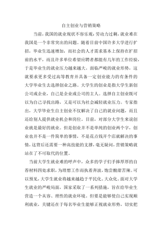 自主创业与营销策略
