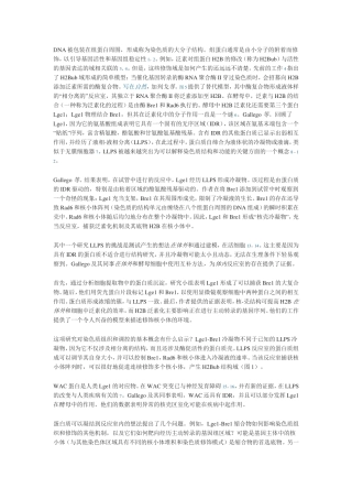 组蛋白基因活性和基因组稳定性
