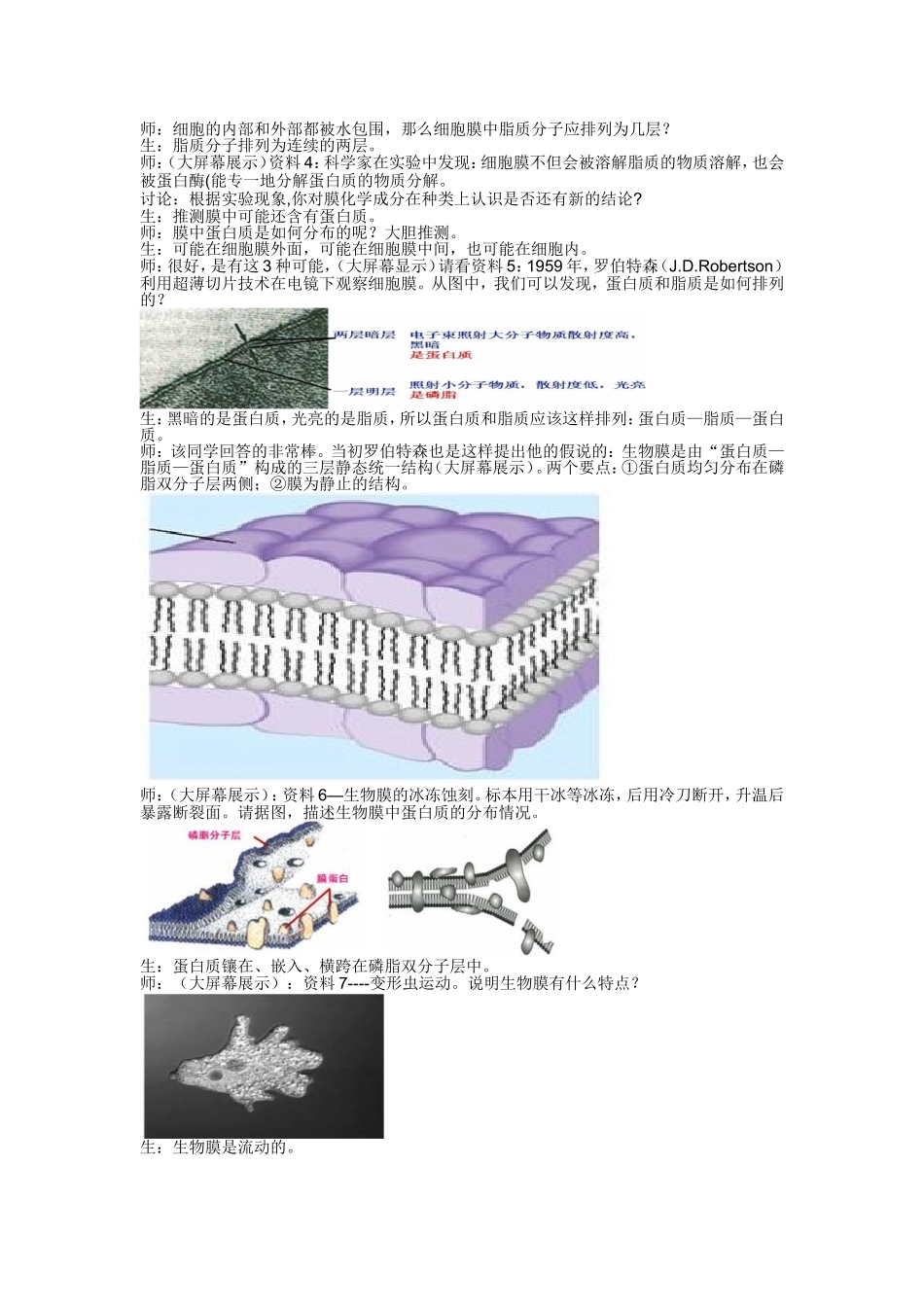 《生物膜的流动镶嵌模型》教案_第3页