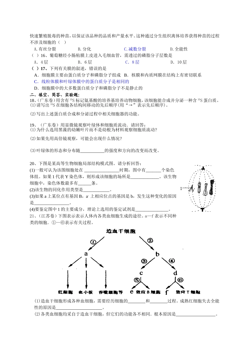 〖生物体的物质基础和结构基础〗练习_第3页