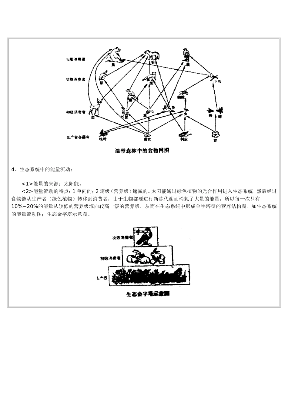 《地球上的生物、土壤和自然带》全解_第3页