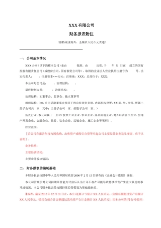 XXX有限公司财务报表附注