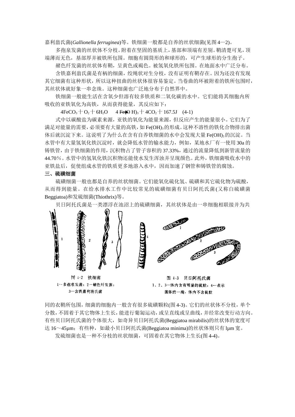 第四章其它微生物知识点复习资料梳理汇总_第2页