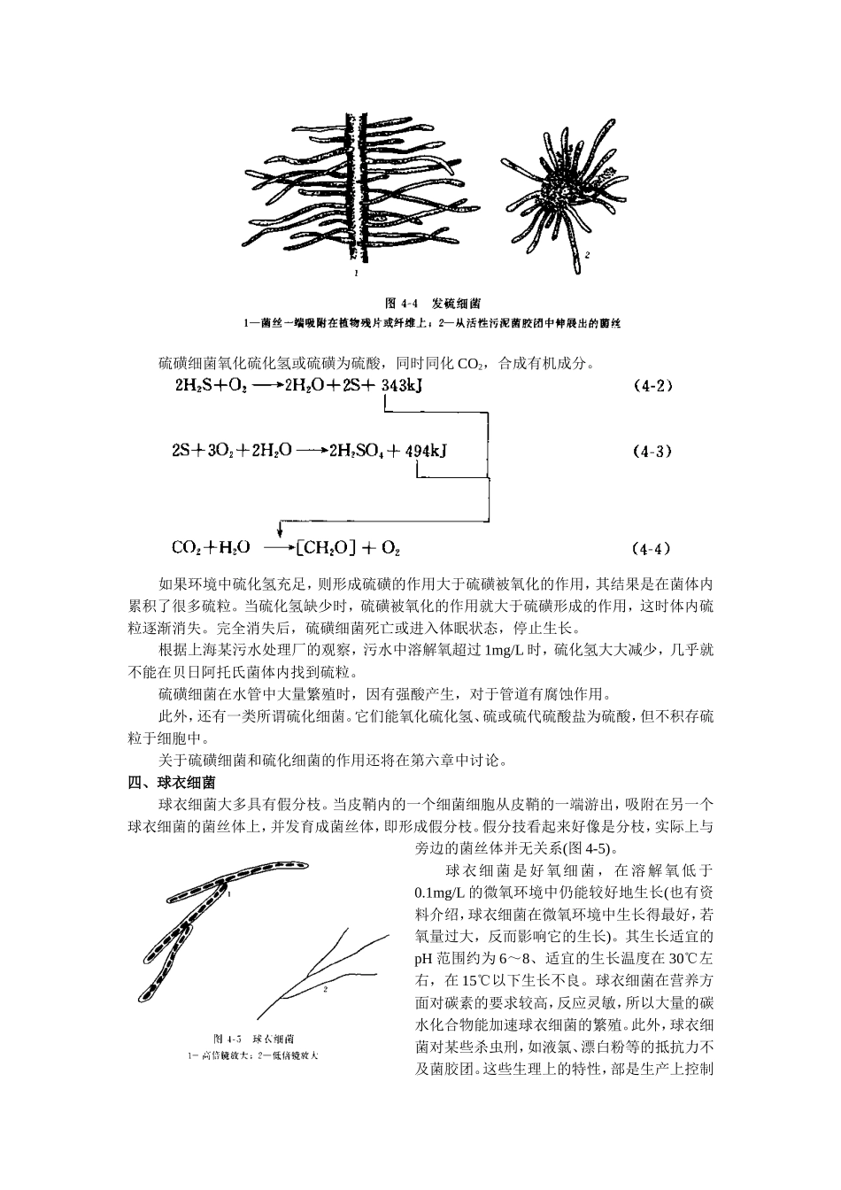 第四章其它微生物知识点复习资料梳理汇总_第3页