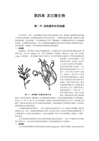 第四章其它微生物知识点复习资料梳理汇总