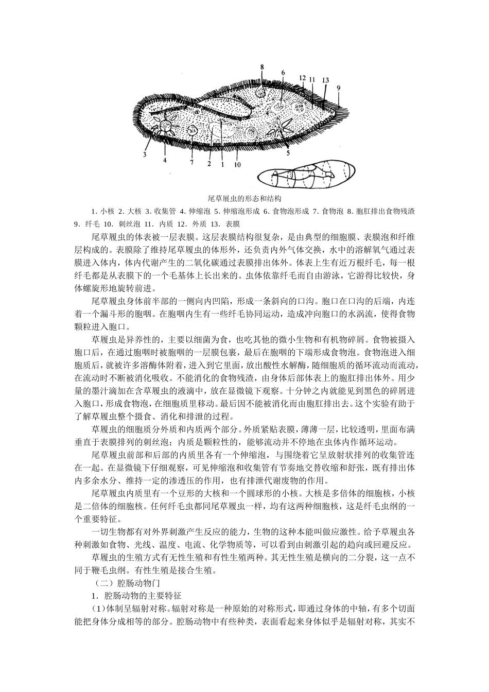 第四章无脊椎动物知识点梳理汇总_第2页