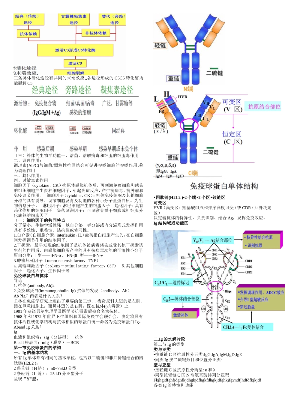 第九章动物免疫学基础课程知识点梳理汇总_第3页