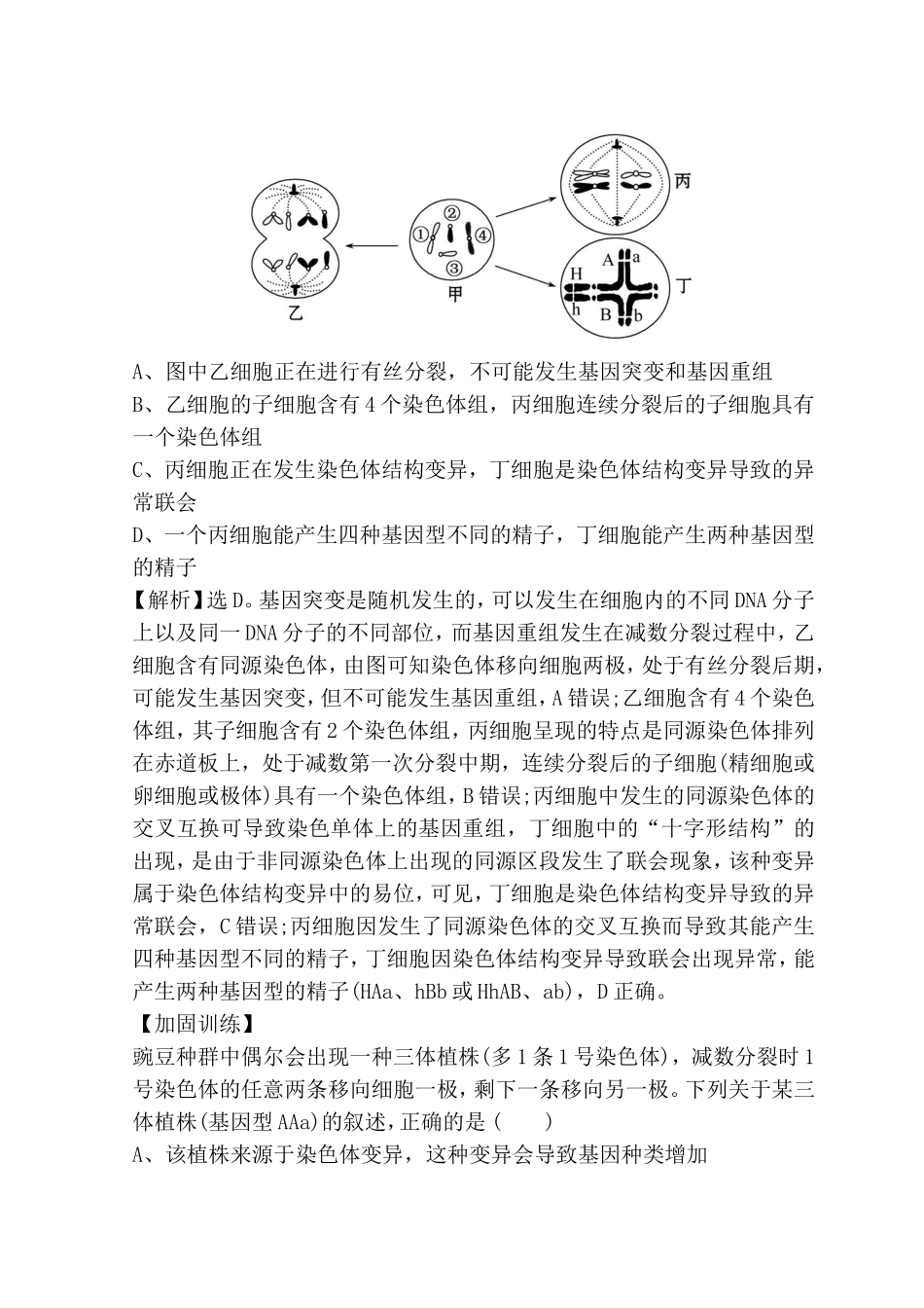 高考重点冲关练 细胞分裂的异常现象测试题_第3页