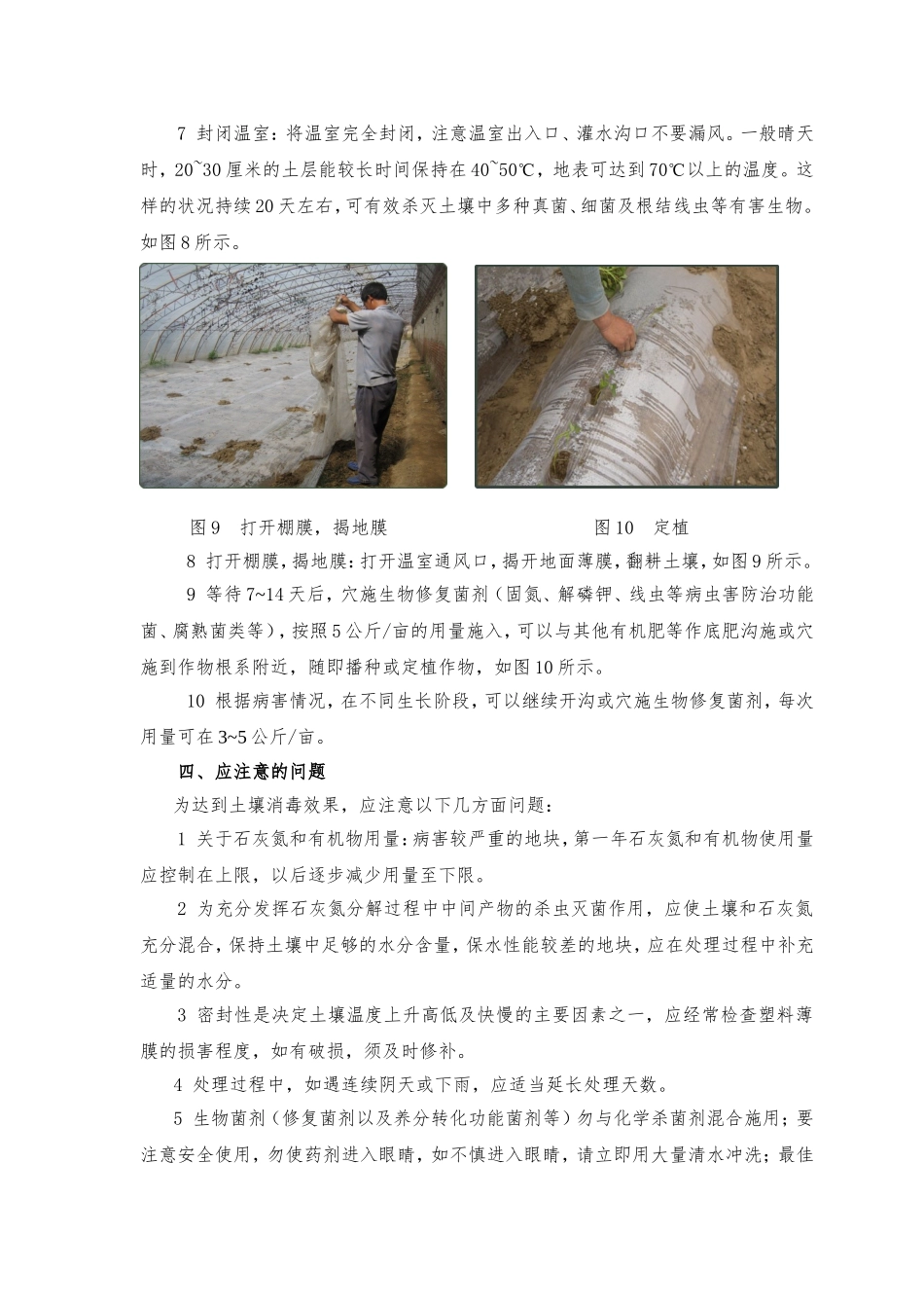 石灰氮--日光土壤消毒与生物菌剂联合修复连作障碍技术规程_第3页