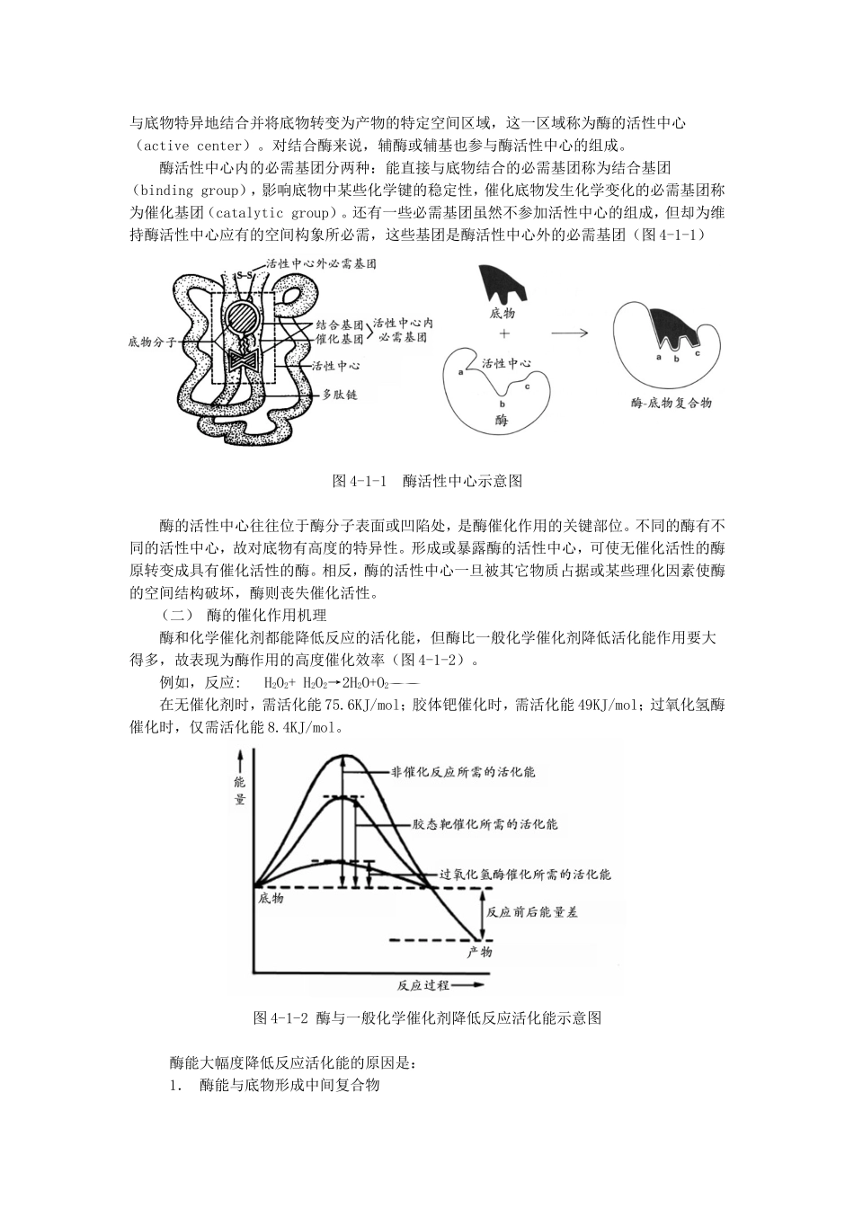 第四章生物催化剂—酶知识点梳理汇总_第3页