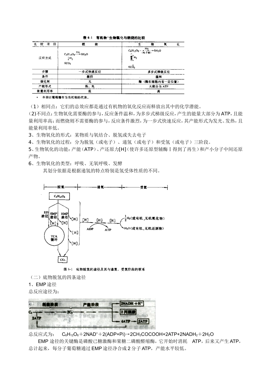 第五章微生物的新陈代谢知识点梳理汇总_第2页
