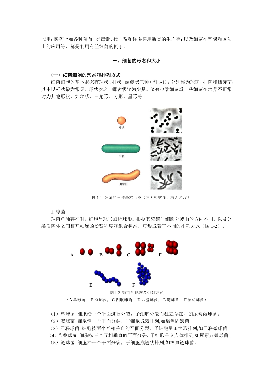 第一章原核微生物知识点梳理汇总_第2页