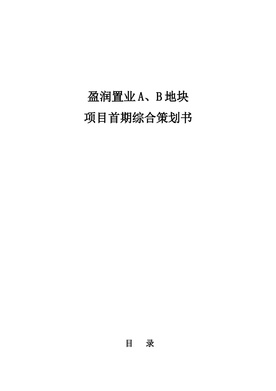 盈润置业A、B地块项目首期综合策划书_第1页