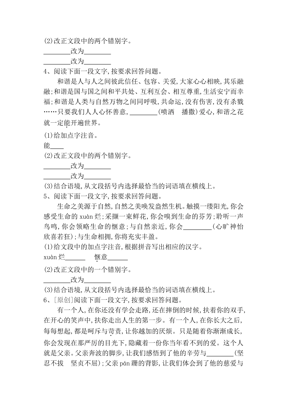 高考语文专题训练(一)　识字与写字_第2页